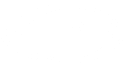 ModalAI logo
